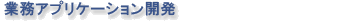 ƖAvP[VJ